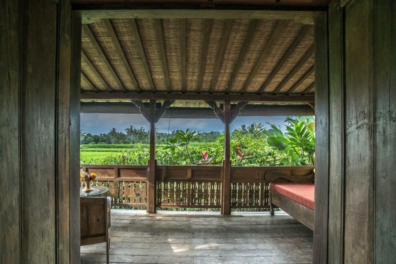 Malaya Villas Ubud テガララン エクステリア 写真