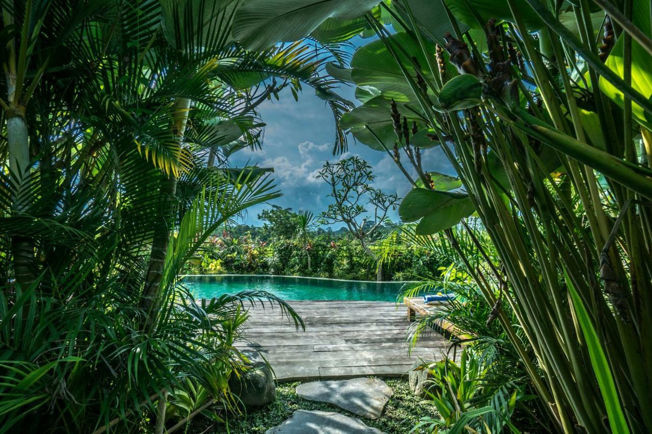 Malaya Villas Ubud テガララン エクステリア 写真